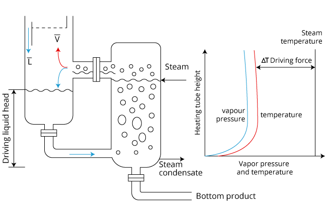 Diagram of vertcal hermosiphon reboiler.